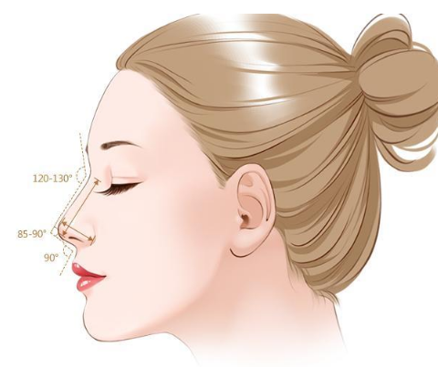 鼻基底的基础影响隆鼻效果吗