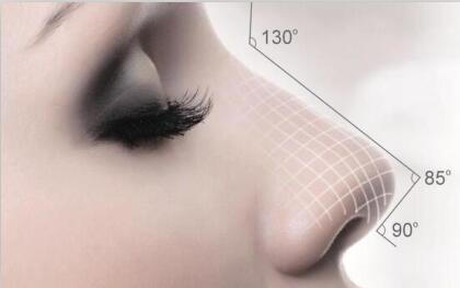 鼻整形中假体材料的选择（1）