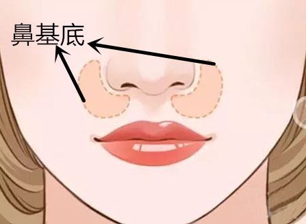 鼻基底凹陷对于面中的影响。
