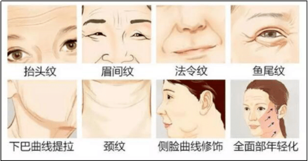 25岁，实际上已经开始衰老了。表现最为明显的就是皮肤衰老。