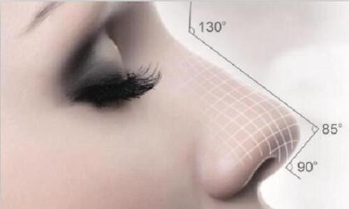 鼻子可以只做鼻头和鼻翼吗？